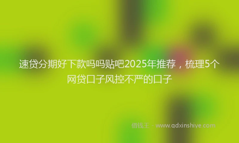 速贷分期好下款吗吗贴吧2025年推荐，梳理5个网贷口子风控不严的口子