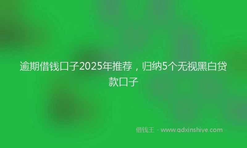 逾期借钱口子2025年推荐，归纳5个无视黑白贷款口子