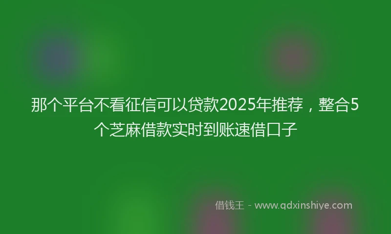 那个平台不看征信可以贷款2025年推荐，整合5个芝麻借款实时到账速借口子