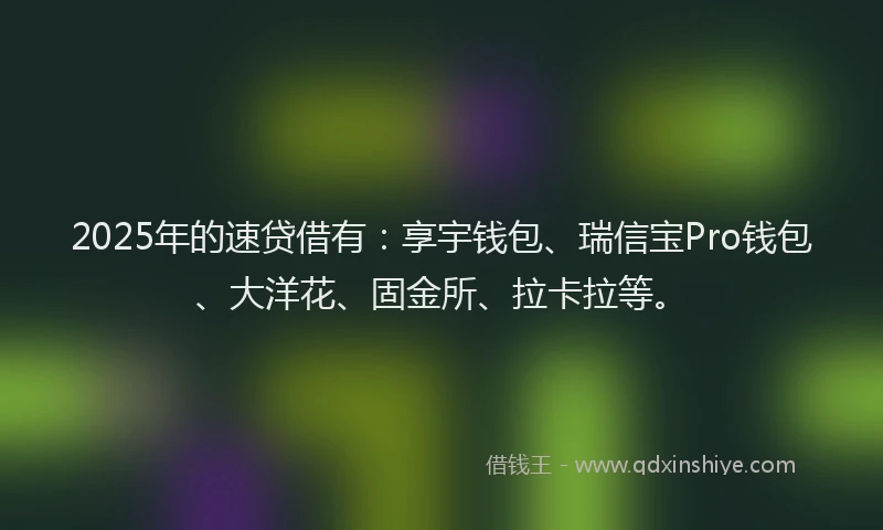 2025年的速贷借有：享宇钱包、瑞信宝Pro钱包、大洋花、固金所、拉卡拉等。