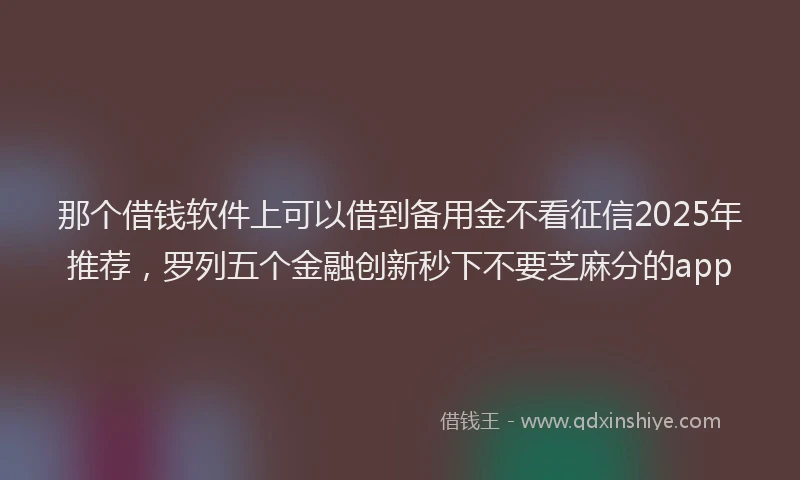 那个借钱软件上可以借到备用金不看征信2025年推荐，罗列五个金融创新秒下不要芝麻分的app