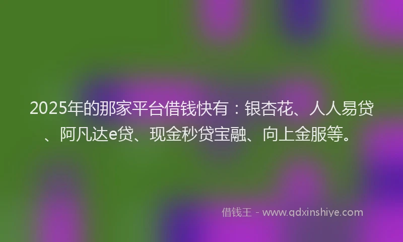 2025年的那家平台借钱快有：银杏花、人人易贷、阿凡达e贷、现金秒贷宝融、向上金服等。