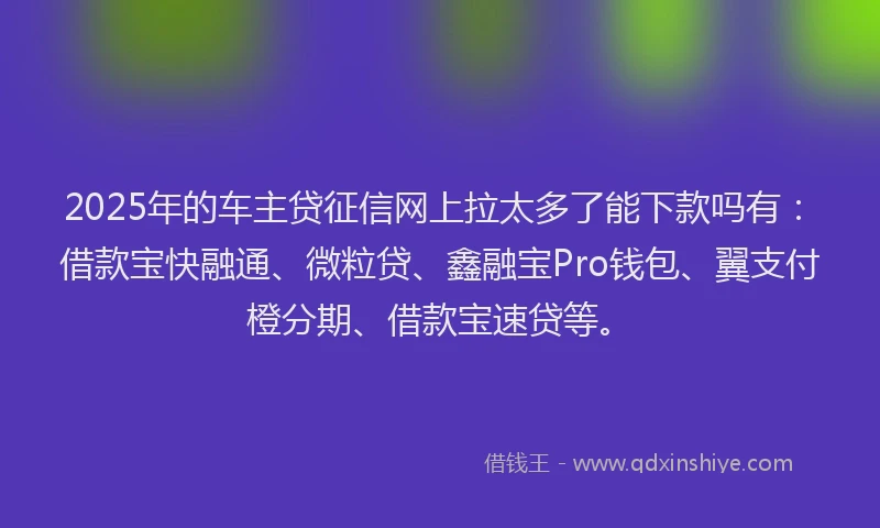 2025年的车主贷征信网上拉太多了能下款吗有：借款宝快融通、微粒贷、鑫融宝Pro钱包、翼支付橙分期、借款宝速贷等。