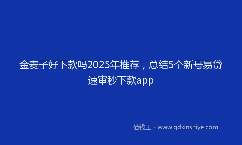 金麦子好下款吗2025年推荐，总结5个新号易贷速审秒下款app