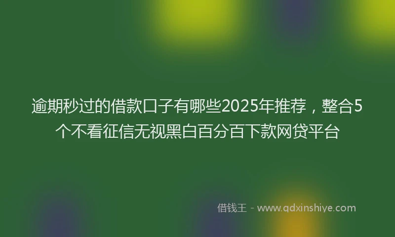 逾期秒过的借款口子有哪些2025年推荐，整合5个不看征信无视黑白百分百下款网贷平台