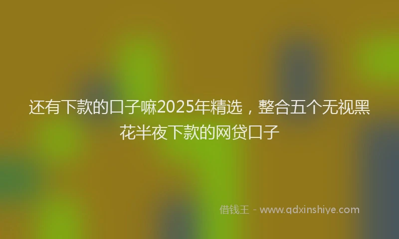 还有下款的口子嘛2025年精选，整合五个无视黑花半夜下款的网贷口子