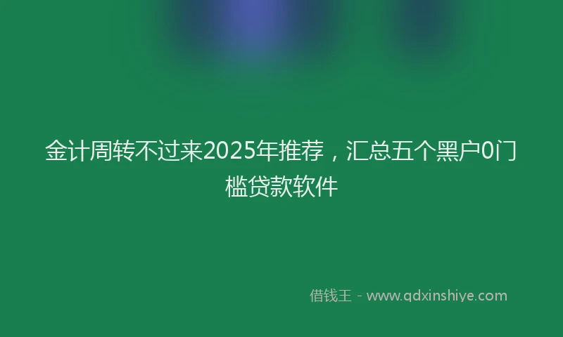 金计周转不过来2025年推荐，汇总五个黑户0门槛贷款软件