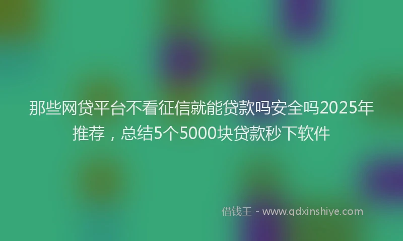 那些网贷平台不看征信就能贷款吗安全吗2025年推荐，总结5个5000块贷款秒下软件