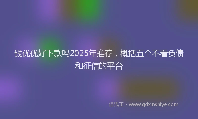 钱优优好下款吗2025年推荐，概括五个不看负债和征信的平台