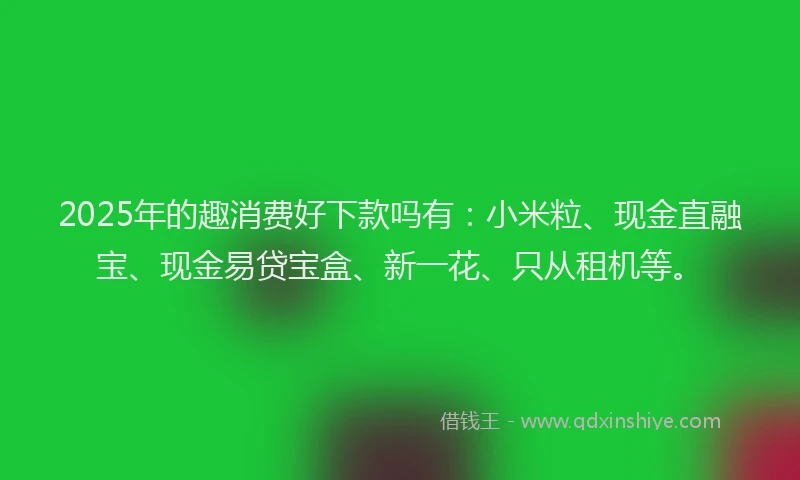2025年的趣消费好下款吗有：小米粒、现金直融宝、现金易贷宝盒、新一花、只从租机等。