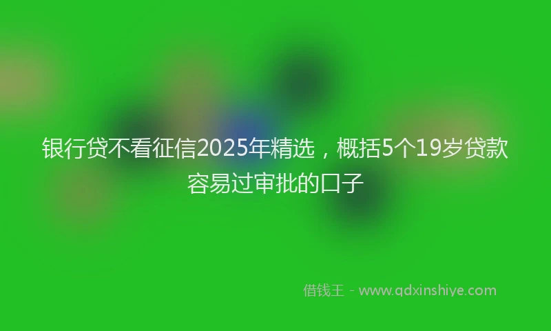 银行贷不看征信2025年精选，概括5个19岁贷款容易过审批的口子