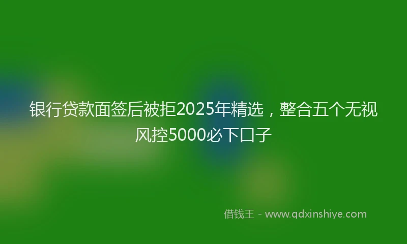 银行贷款面签后被拒2025年精选，整合五个无视风控5000必下口子
