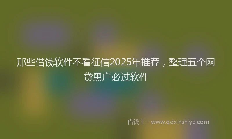 那些借钱软件不看征信2025年推荐，整理五个网贷黑户必过软件