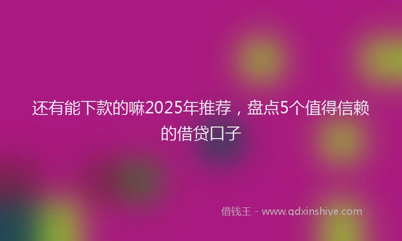 还有能下款的嘛2025年推荐，盘点5个值得信赖的借贷口子