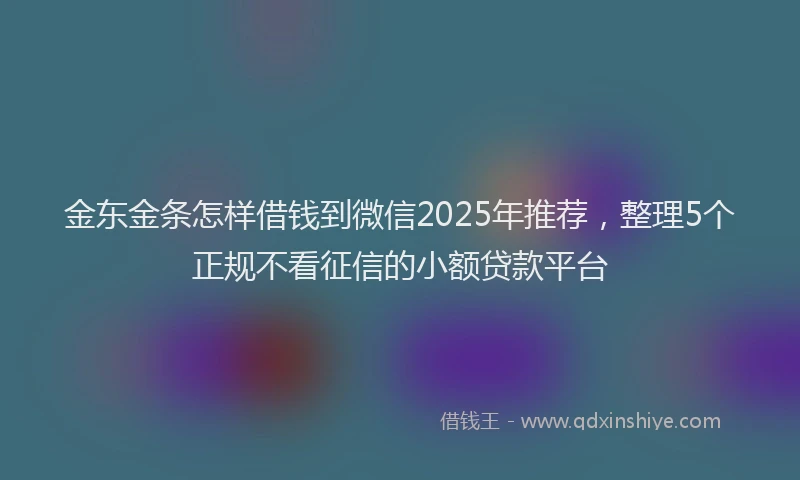 金东金条怎样借钱到微信2025年推荐，整理5个正规不看征信的小额贷款平台