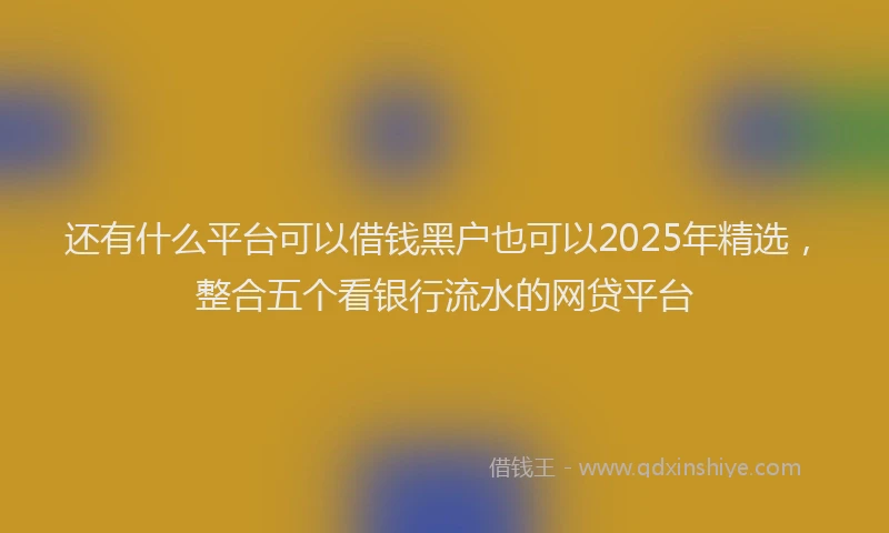 还有什么平台可以借钱黑户也可以2025年精选，整合五个看银行流水的网贷平台