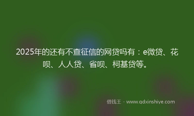 2025年的还有不查征信的网贷吗有:e微贷、花呗、人人贷、省呗、柯基贷等。