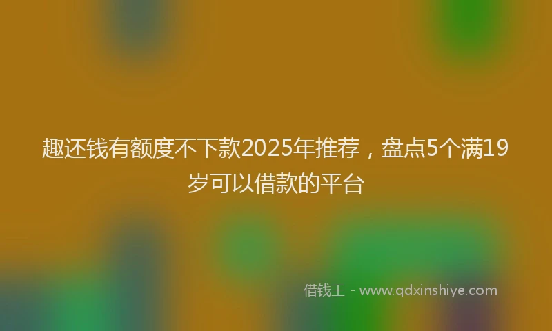趣还钱有额度不下款2025年推荐，盘点5个满19岁可以借款的平台