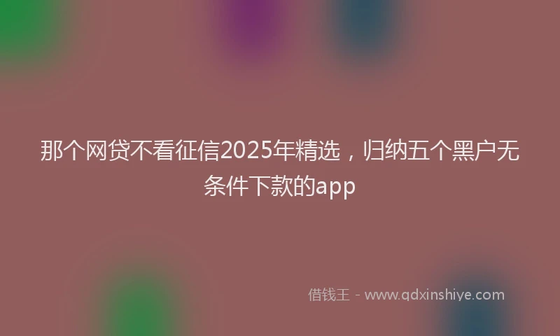 那个网贷不看征信2025年精选，归纳五个黑户无条件下款的app