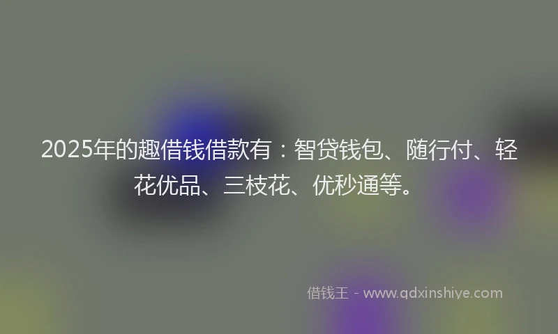 2025年的趣借钱借款有:智贷钱包、随行付、轻花优品、三枝花、优秒通等。
