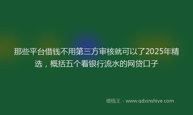 那些平台借钱不用第三方审核就可以了2025年精选，概括五个看银行流水的网贷口子