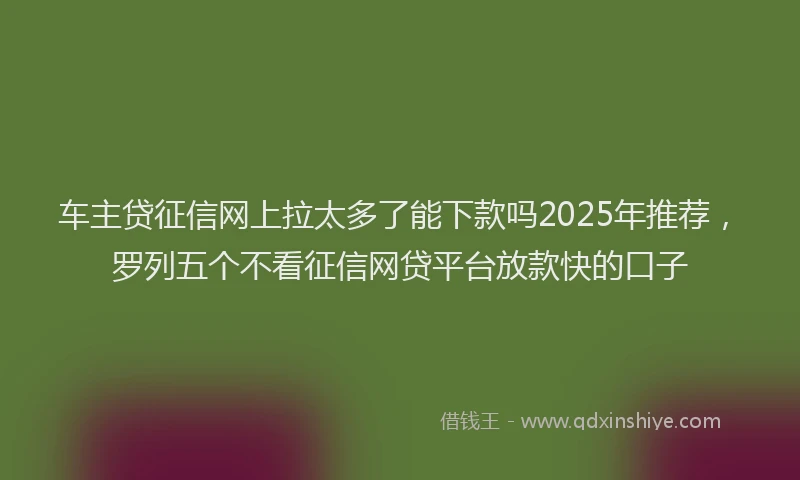车主贷征信网上拉太多了能下款吗2025年推荐，罗列五个不看征信网贷平台放款快的口子