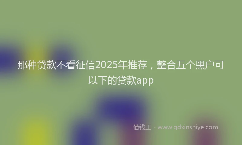 那种贷款不看征信2025年推荐，整合五个黑户可以下的贷款app