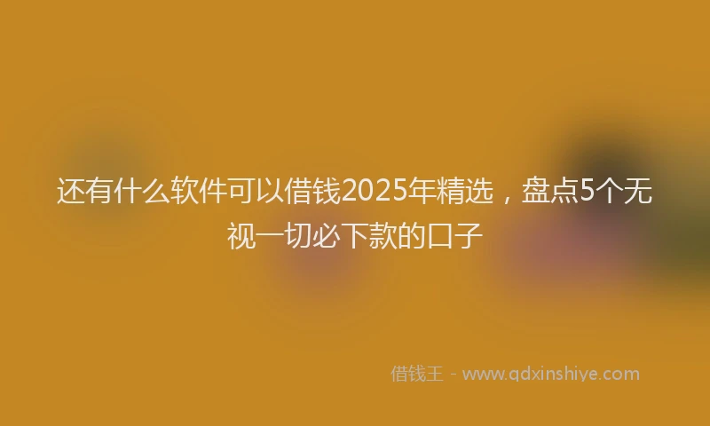 还有什么软件可以借钱2025年精选，盘点5个无视一切必下款的口子
