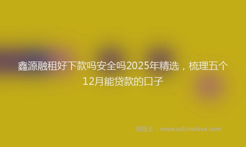 鑫源融租好下款吗安全吗2025年精选，梳理五个12月能贷款的口子