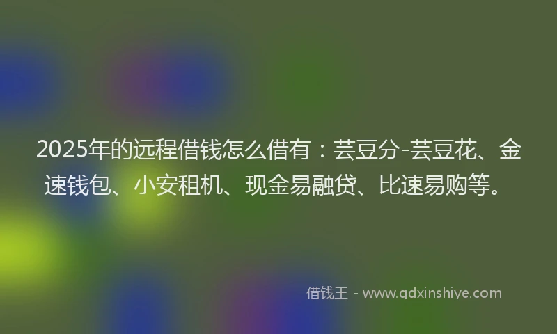 2025年的远程借钱怎么借有：芸豆分-芸豆花、金速钱包、小安租机、现金易融贷、比速易购等。