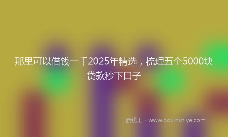 那里可以借钱一千2025年精选，梳理五个5000块贷款秒下口子
