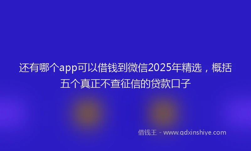 还有哪个app可以借钱到微信2025年精选，概括五个真正不查征信的贷款口子