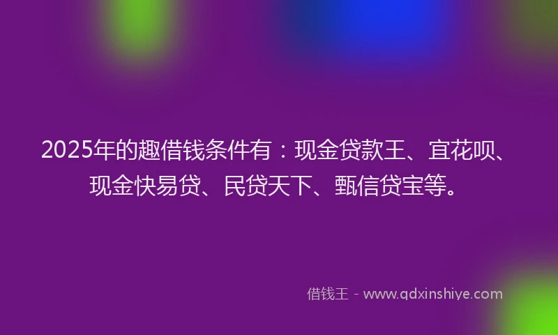 2025年的趣借钱条件有：现金贷款王、宜花呗、现金快易贷、民贷天下、甄信贷宝等。