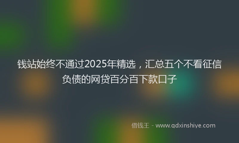 钱站始终不通过2025年精选，汇总五个不看征信负债的网贷百分百下款口子