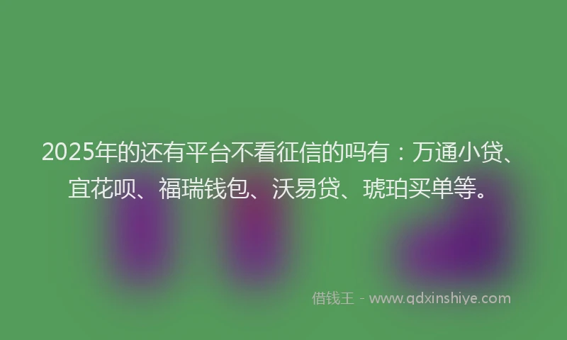 2025年的还有平台不看征信的吗有：万通小贷、宜花呗、福瑞钱包、沃易贷、琥珀买单等。