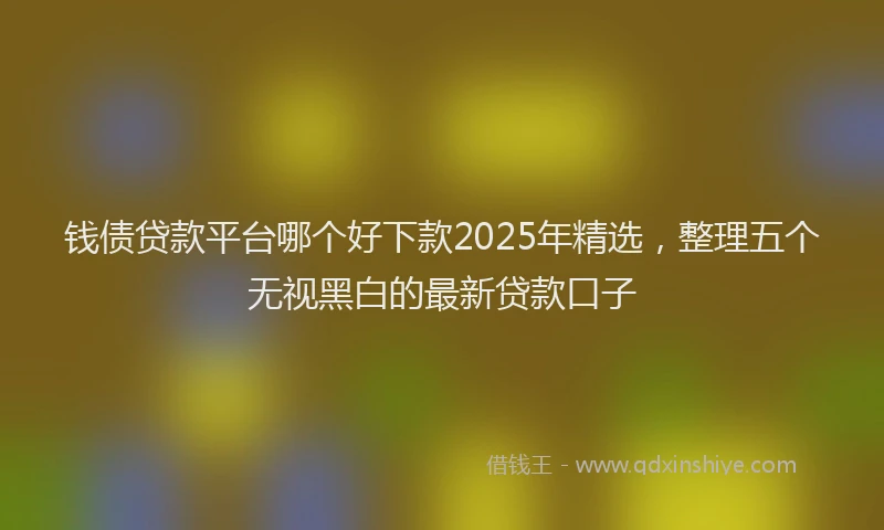 钱债贷款平台哪个好下款2025年精选，整理五个无视黑白的最新贷款口子