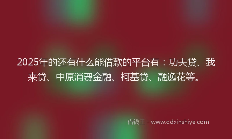 2025年的还有什么能借款的平台有：功夫贷、我来贷、中原消费金融、柯基贷、融逸花等。