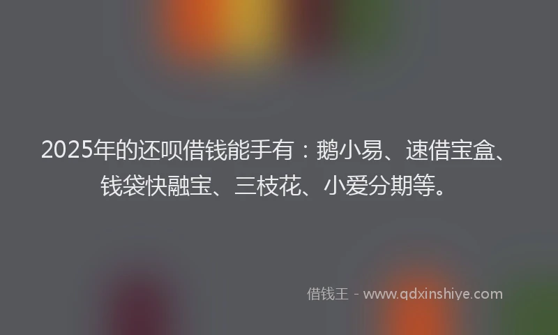 2025年的还呗借钱能手有：鹅小易、速借宝盒、钱袋快融宝、三枝花、小爱分期等。