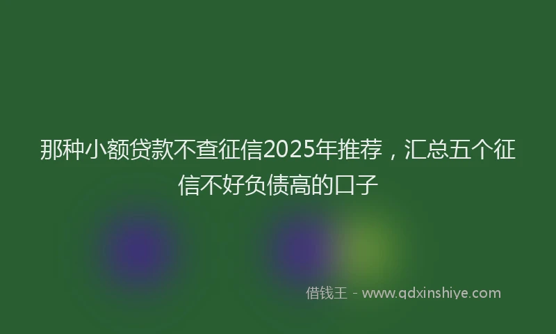 那种小额贷款不查征信2025年推荐，汇总五个征信不好负债高的口子