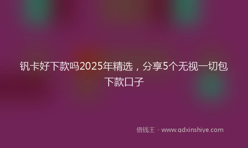 钒卡好下款吗2025年精选，分享5个无视一切包下款口子