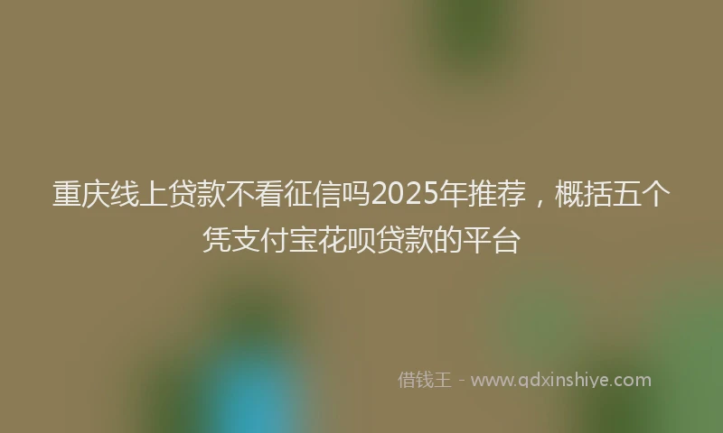 重庆线上贷款不看征信吗2025年推荐，概括五个凭支付宝花呗贷款的平台