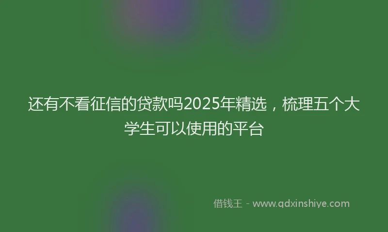 还有不看征信的贷款吗2025年精选，梳理五个大学生可以使用的平台