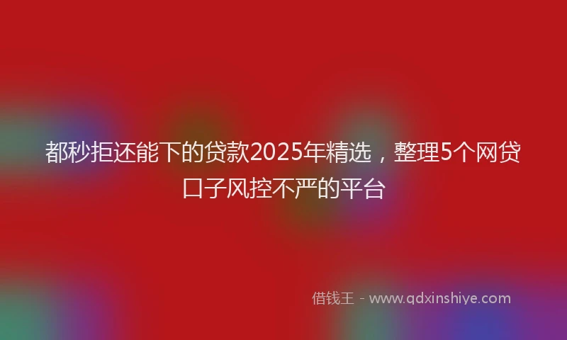 都秒拒还能下的贷款2025年精选，整理5个网贷口子风控不严的平台