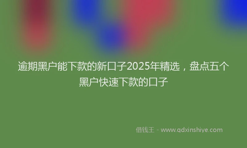 逾期黑户能下款的新口子2025年精选，盘点五个黑户快速下款的口子