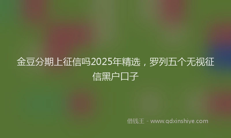 金豆分期上征信吗2025年精选，罗列五个无视征信黑户口子