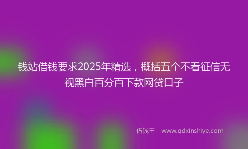 钱站借钱要求2025年精选，概括五个不看征信无视黑白百分百下款网贷口子