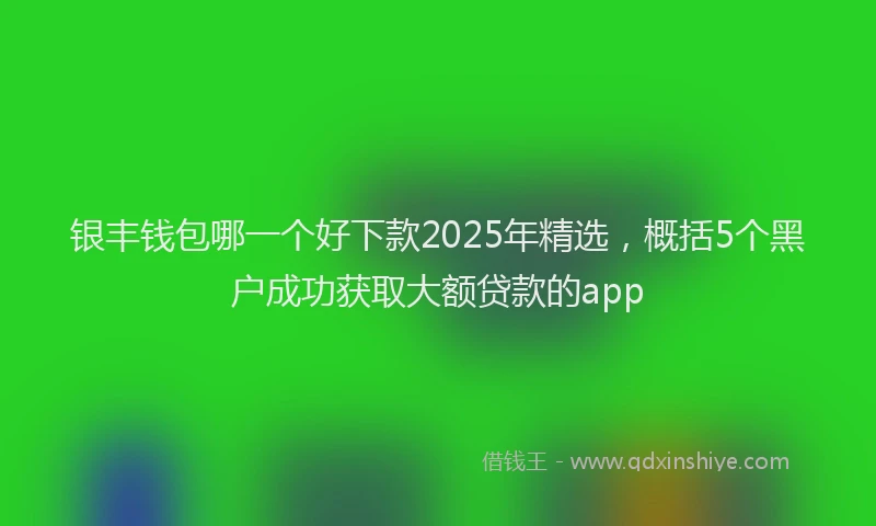 银丰钱包哪一个好下款2025年精选，概括5个黑户成功获取大额贷款的app