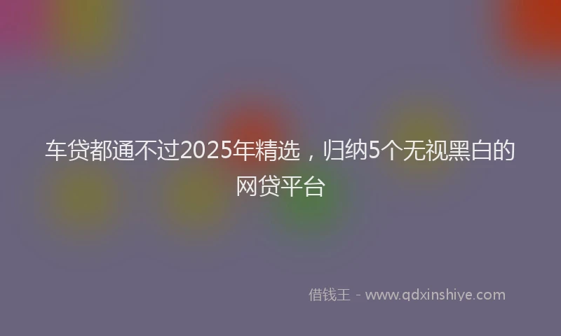 车贷都通不过2025年精选，归纳5个无视黑白的网贷平台