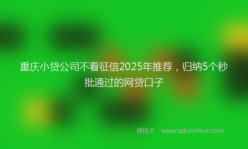 重庆小贷公司不看征信2025年推荐，归纳5个秒批通过的网贷口子