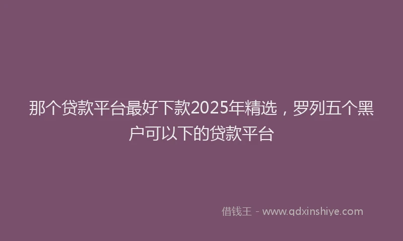 那个贷款平台最好下款2025年精选，罗列五个黑户可以下的贷款平台